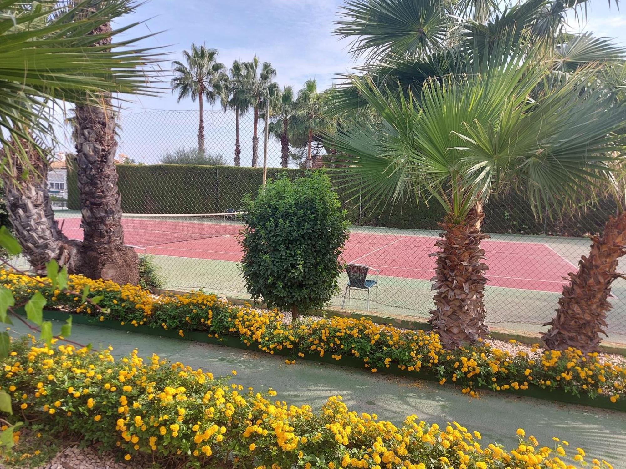 Bebi Casa Apartment Torrevieja Ngoại thất bức ảnh